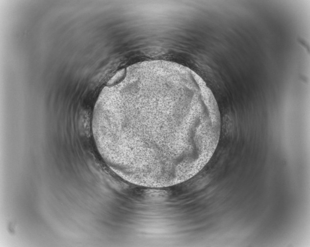 X0000101430234200807281008