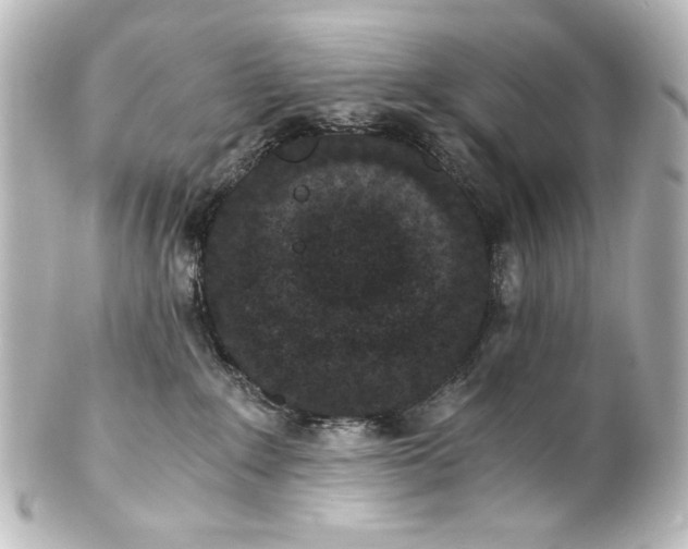 X0000101430235200807281008