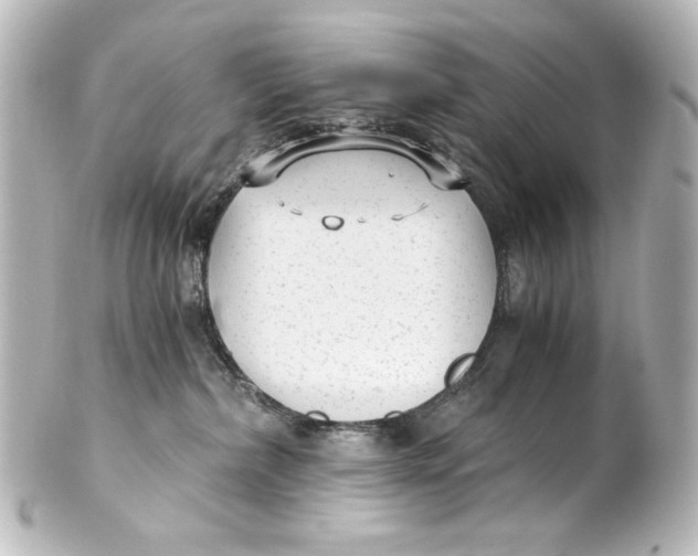 X0000101430236200807281008