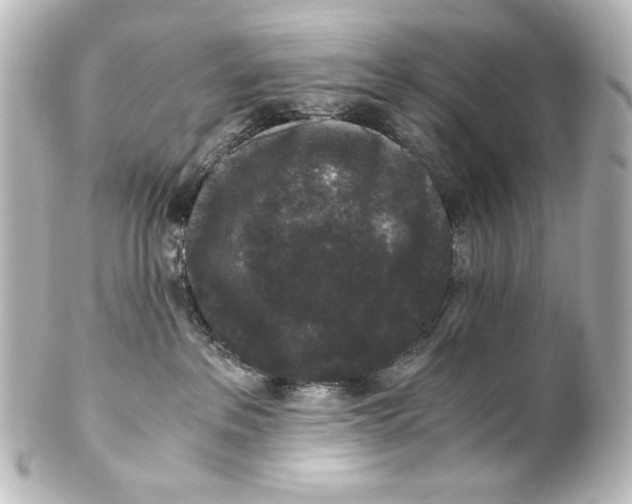 X0000101430237200807281007