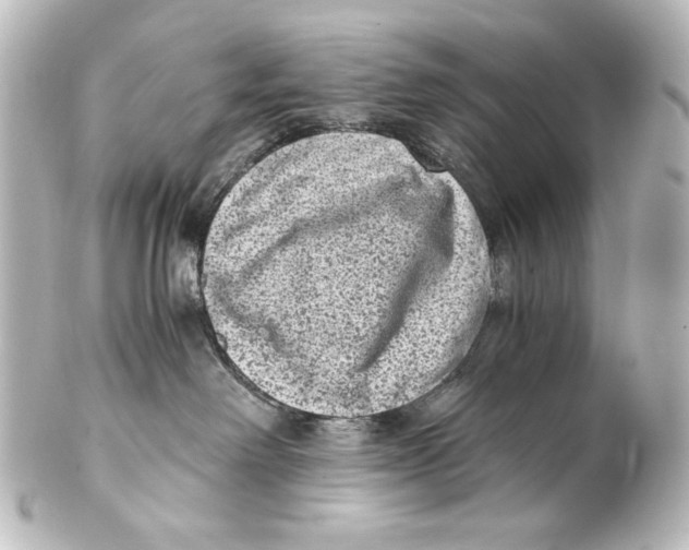 X0000101430238200807281007