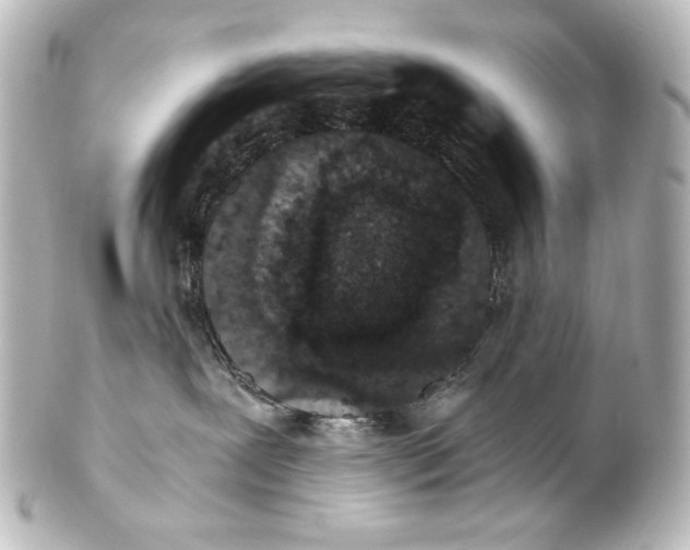 X0000101430239200807281007