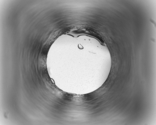 X0000101430240200807281007