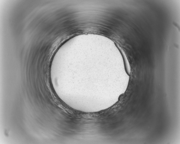 X0000101430241200807281007