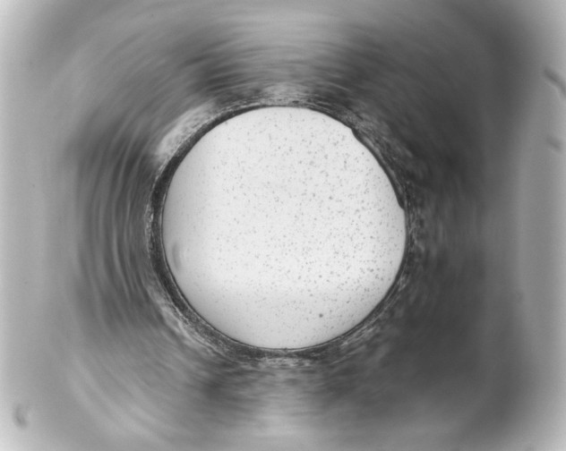 X0000101430242200807281007