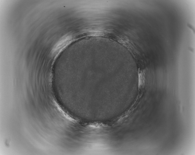 X0000101430243200807281007