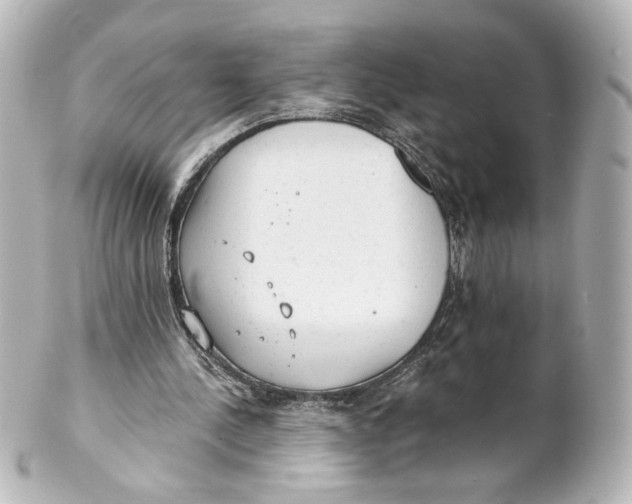 X0000101430244200807281007