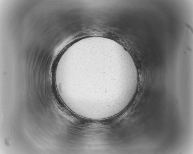 X0000101430246200807281007