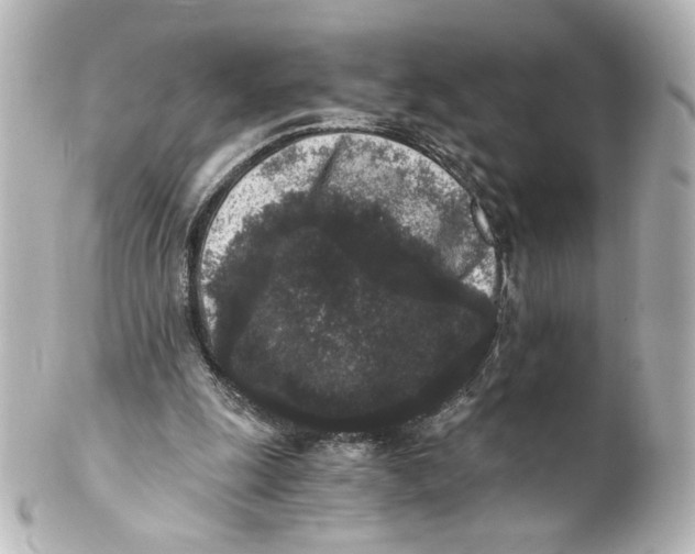 X0000101430247200807281007