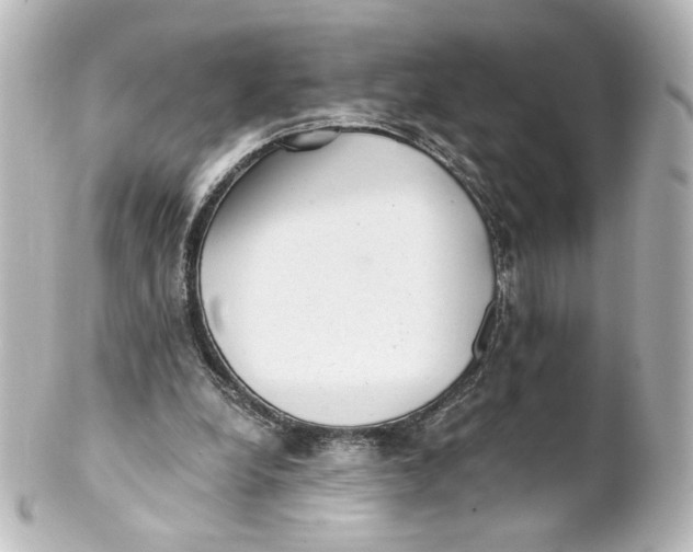 X0000101430248200807281007