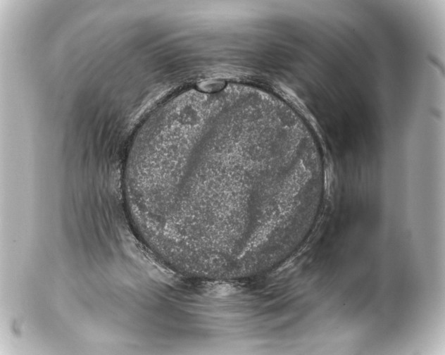 X0000101430249200807281007