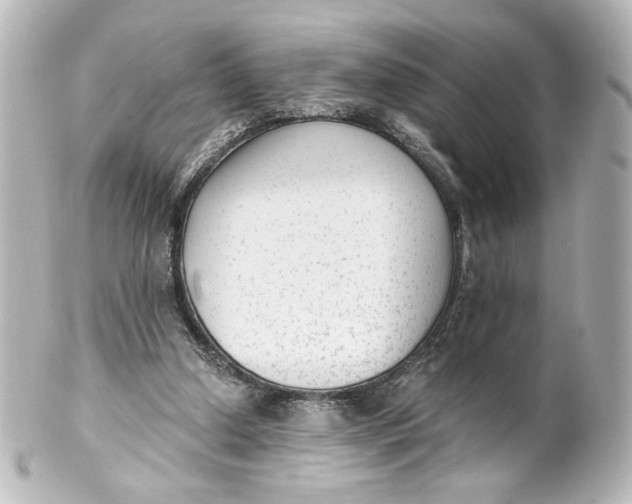 X0000101430250200807281007