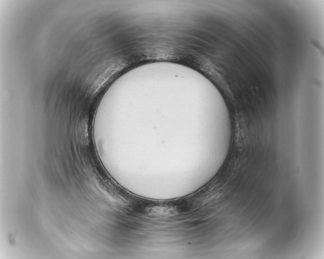 X0000101430251200807281007