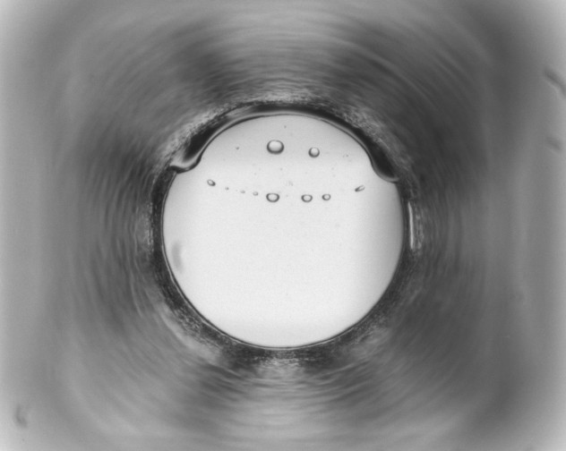 X0000101430252200807281007