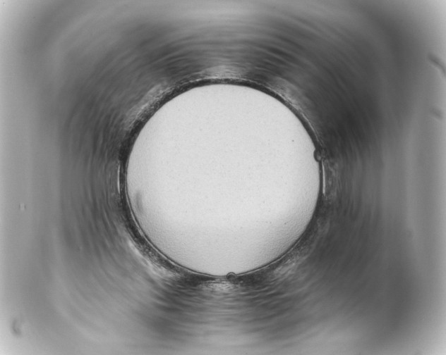 X0000101430253200807281007