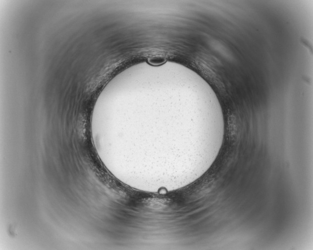 X0000101430255200807281007