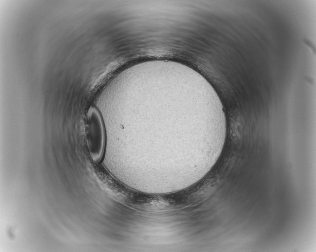 X0000101430256200807281007