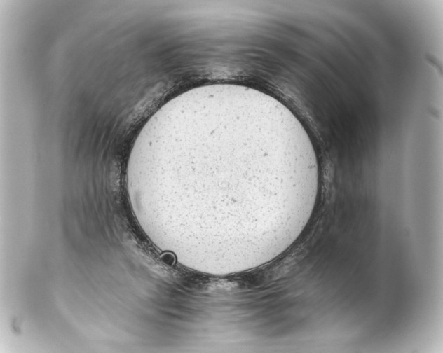 X0000101430257200807281007