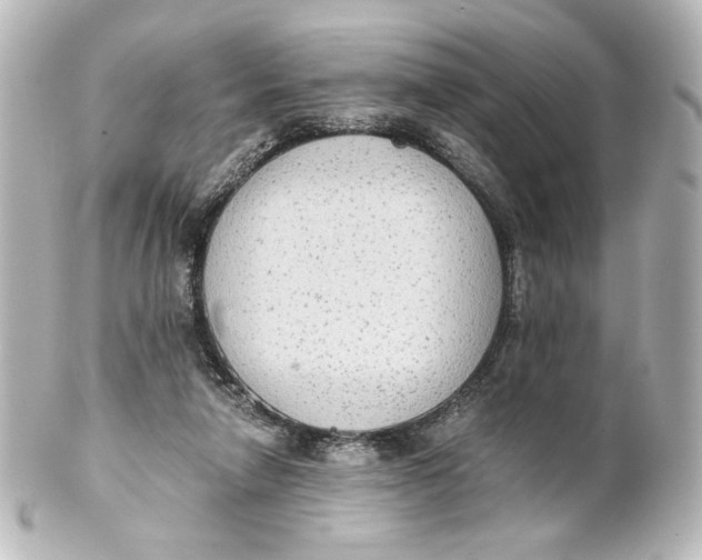 X0000101430258200807281007