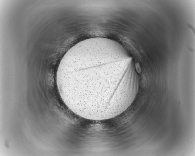 X0000101430259200807281007