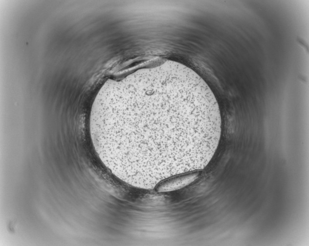 X0000101430260200807281007