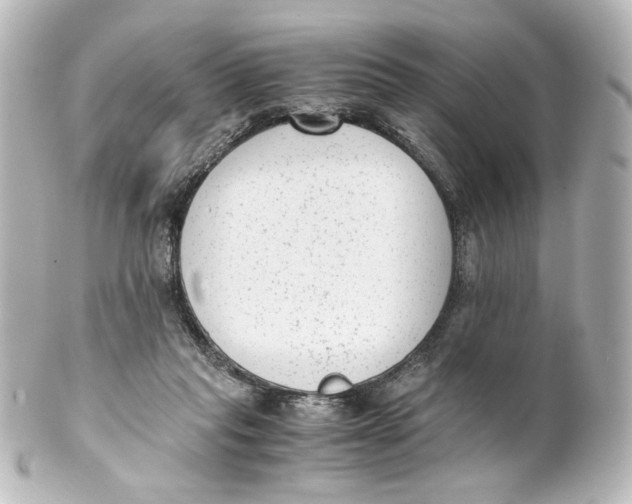 X0000101430261200807281007