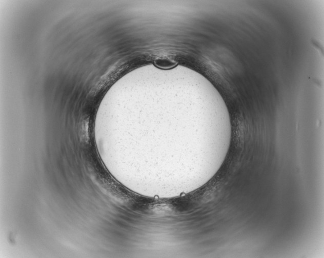 X0000101430262200807281007