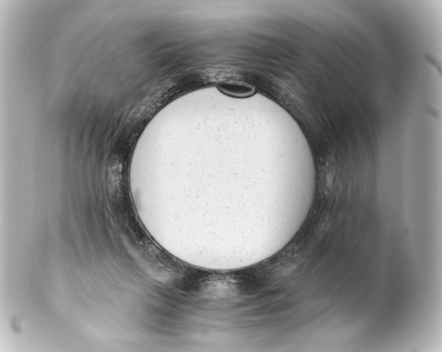 X0000101430263200807281007