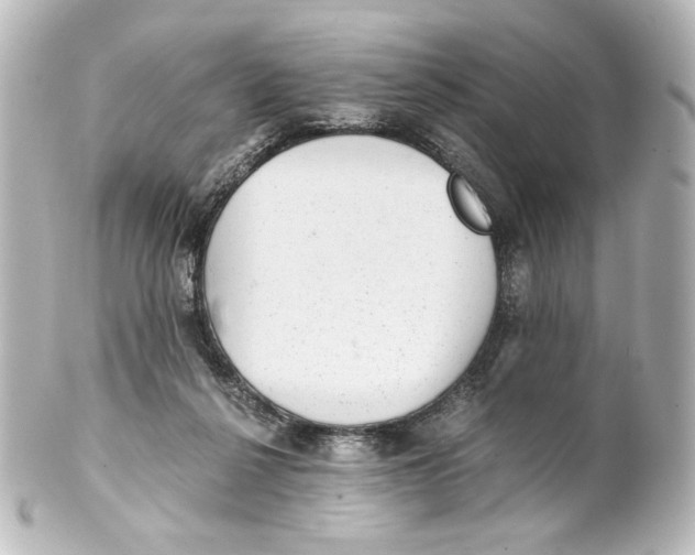 X0000101430264200807281007