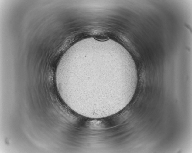 X0000101430265200807281007