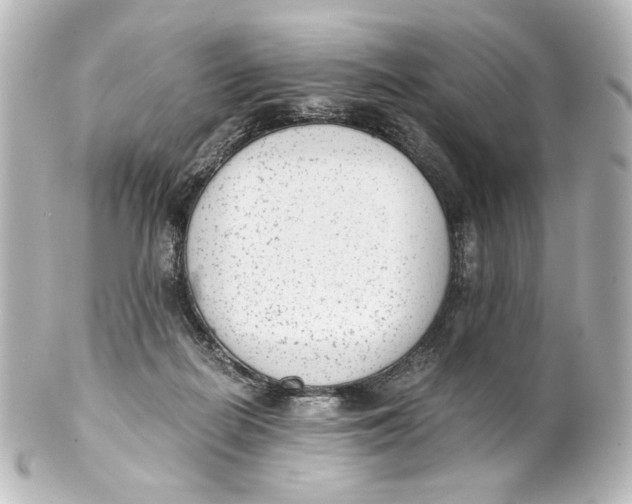 X0000101430266200807281007