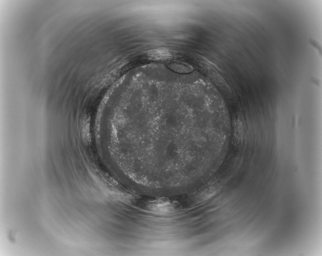 X0000101430267200807281007