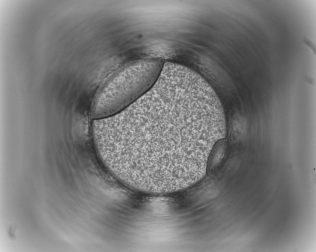 X0000101430268200807281007