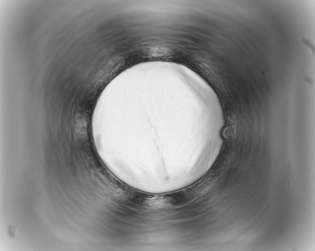 X0000101430269200807281007