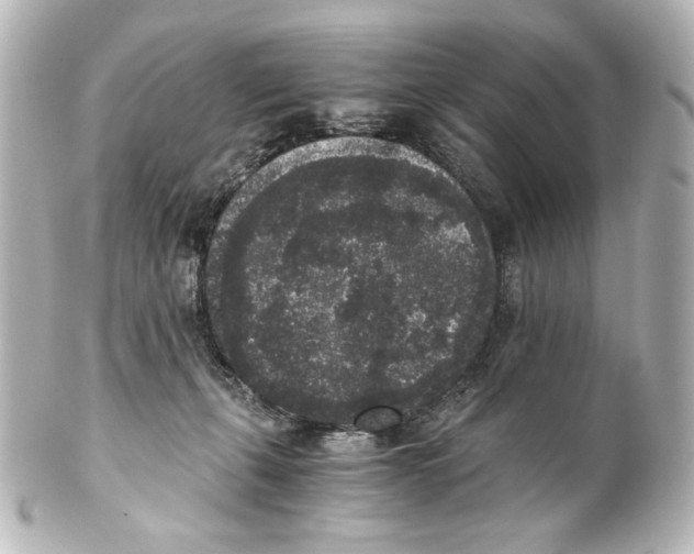 X0000101430271200807281007