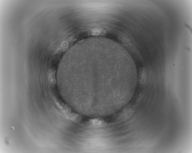 X0000101430272200807281007