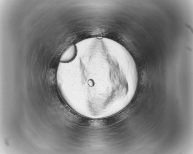 X0000101430273200807281007