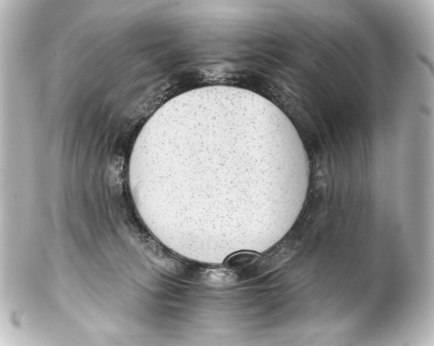 X0000101430275200807281007