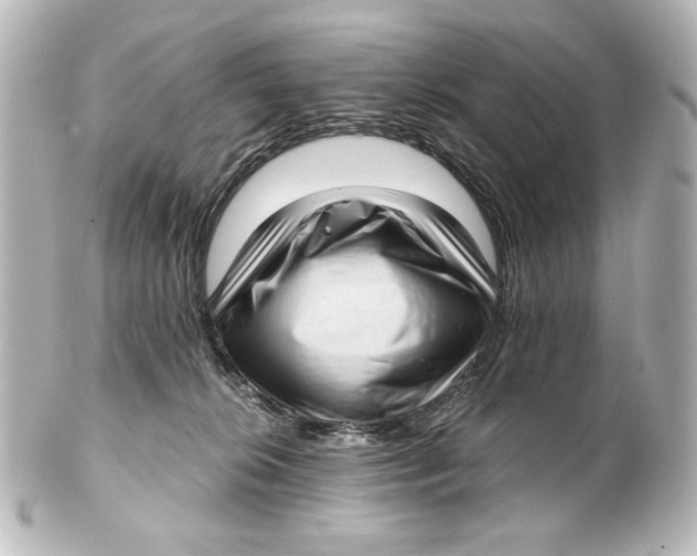 X0000101430276200807281007