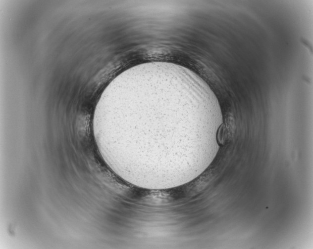 X0000101430278200807281007