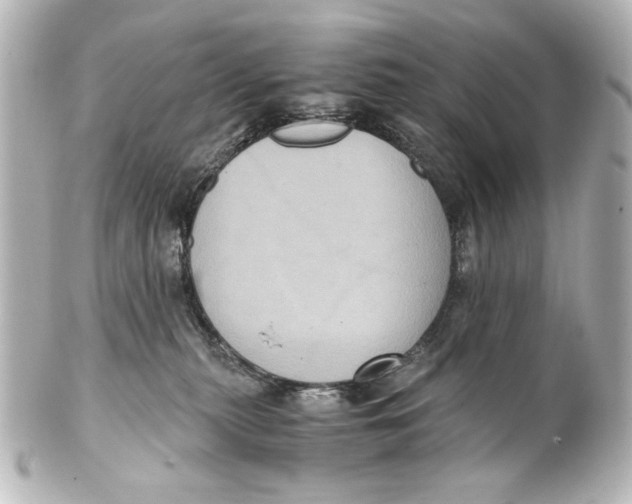 X0000101430279200807281007