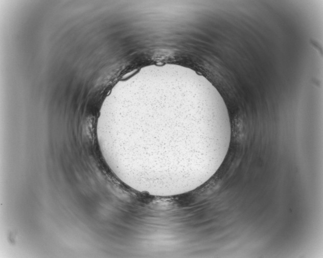 X0000101430280200807281007