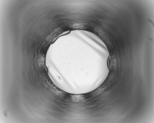 X0000101430281200807281007