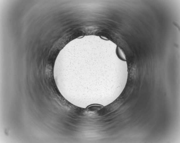 X0000101430283200807281007