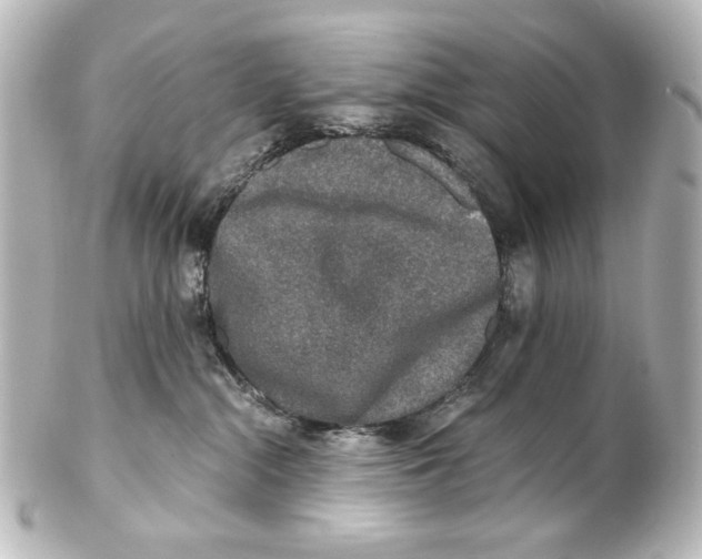 X0000101430284200807281007