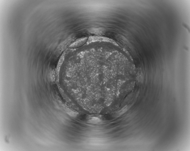 X0000101430285200807281007