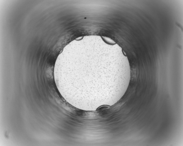 X0000101430286200807281007