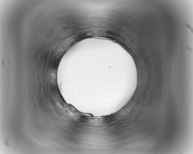 X0000101430288200807281007