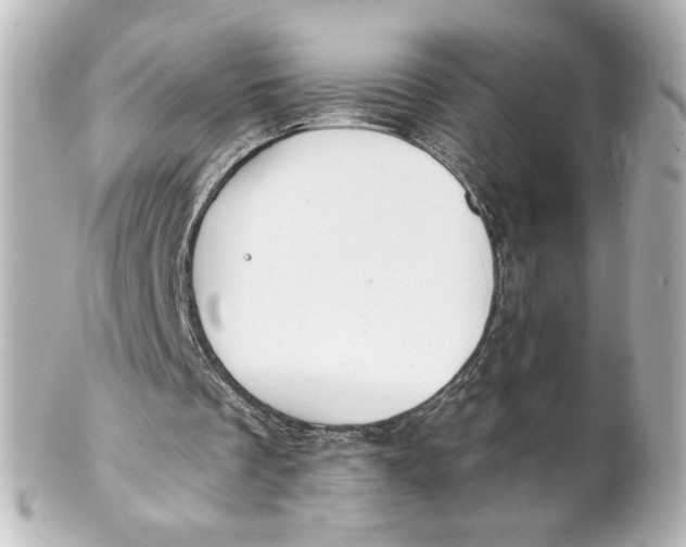 X0000101430289200807281007