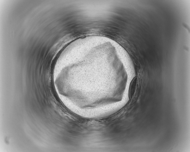 X0000101430290200807281007